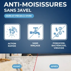 Anti-moisissures pour murs et pièces à vivre