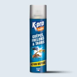 Aérosol contre guêpes et frelons