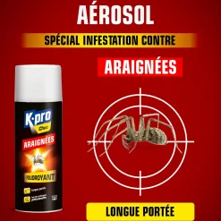 Aérosol foudroyant araignées