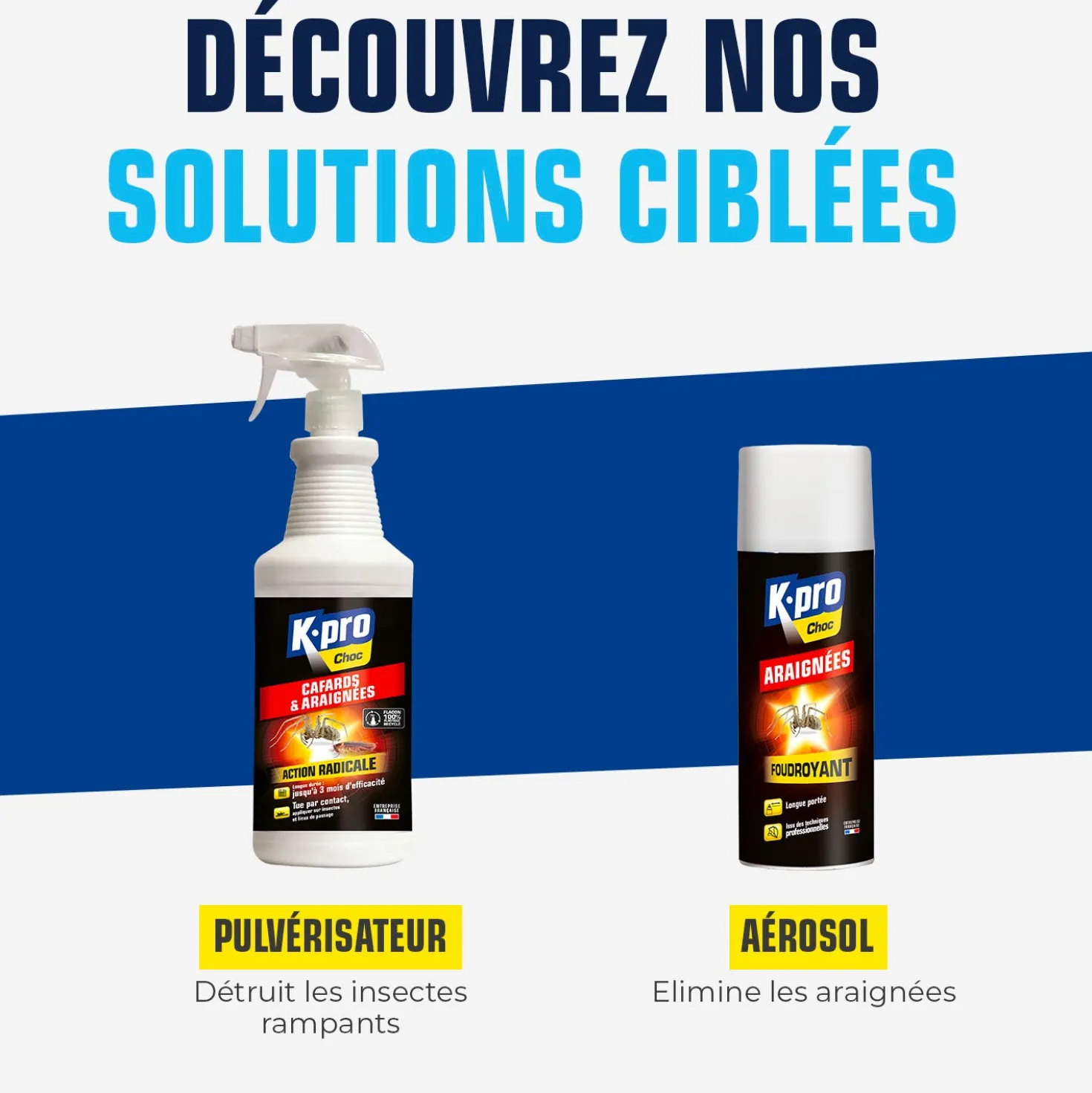 Aérosol foudroyant araignées