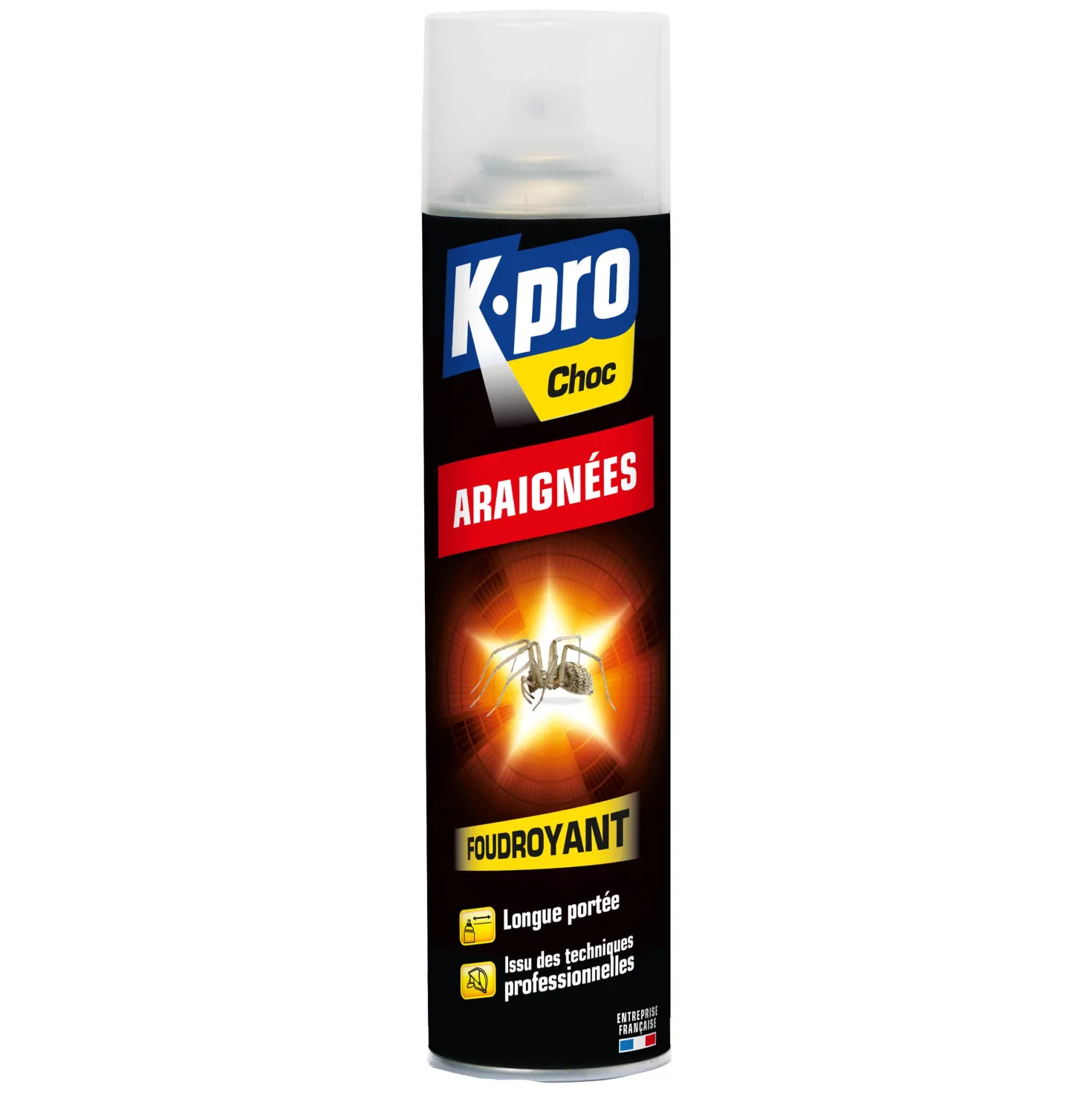 Aérosol foudroyant araignées