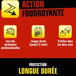Aérosol foudroyant cafards et blattes