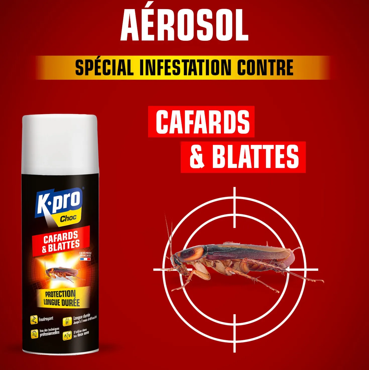 Aérosol foudroyant cafards et blattes