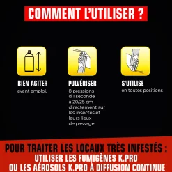 Aérosol foudroyant cafards et blattes