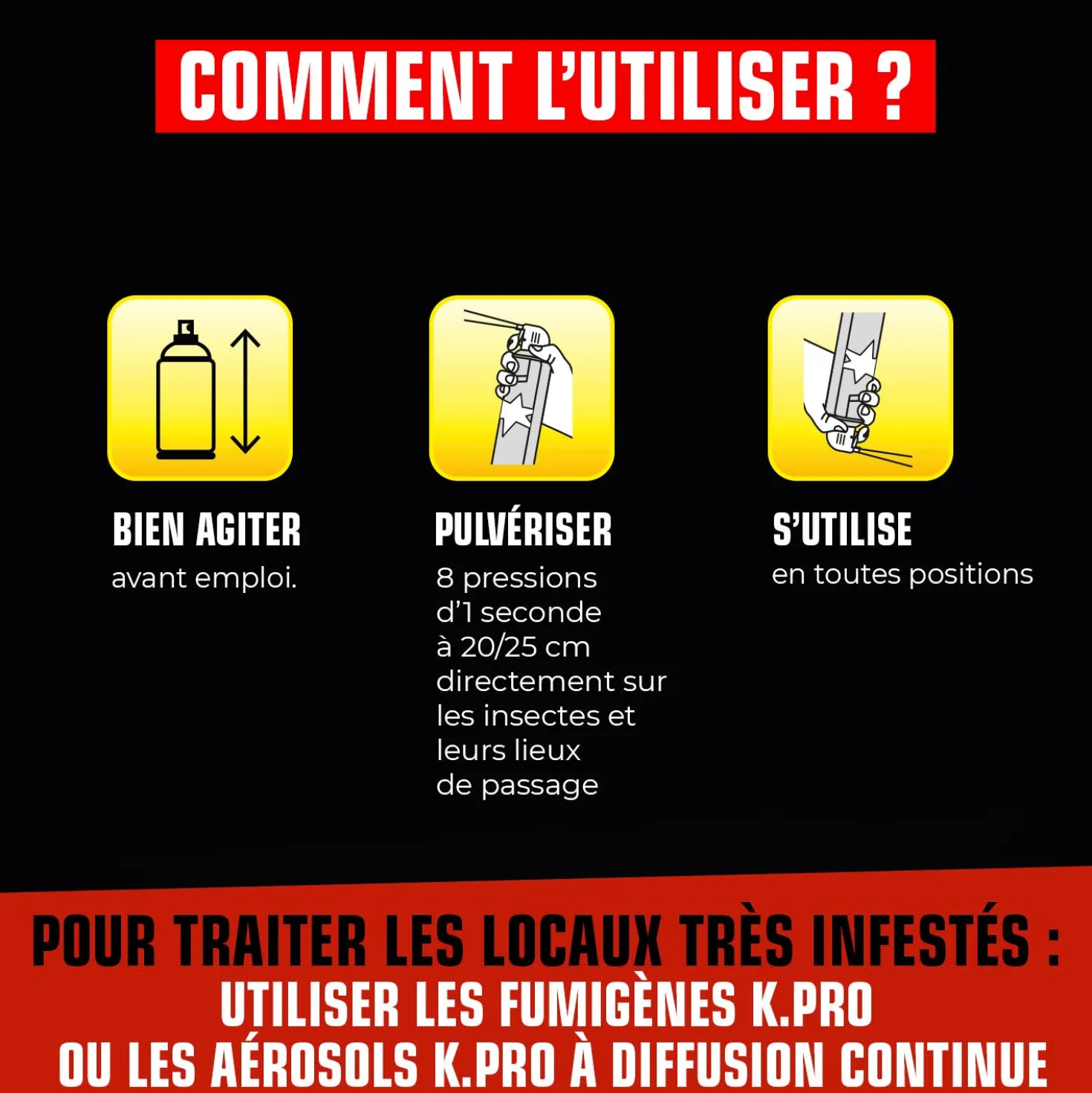 Aérosol foudroyant cafards et blattes