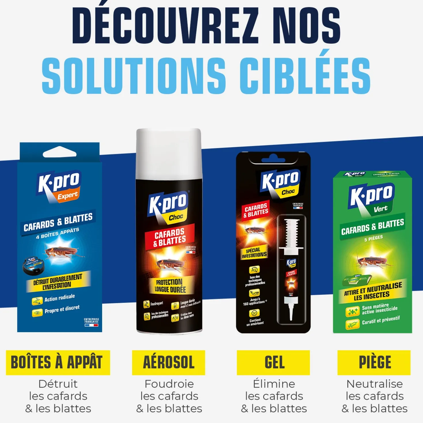 Aérosol foudroyant cafards et blattes