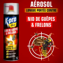 Aérosol foudroyant choc nids de guêpes et frelons