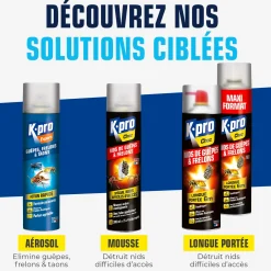 Aérosol foudroyant choc nids de guêpes et frelons