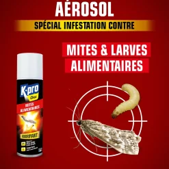 Aérosol foudroyant mites alimentaires