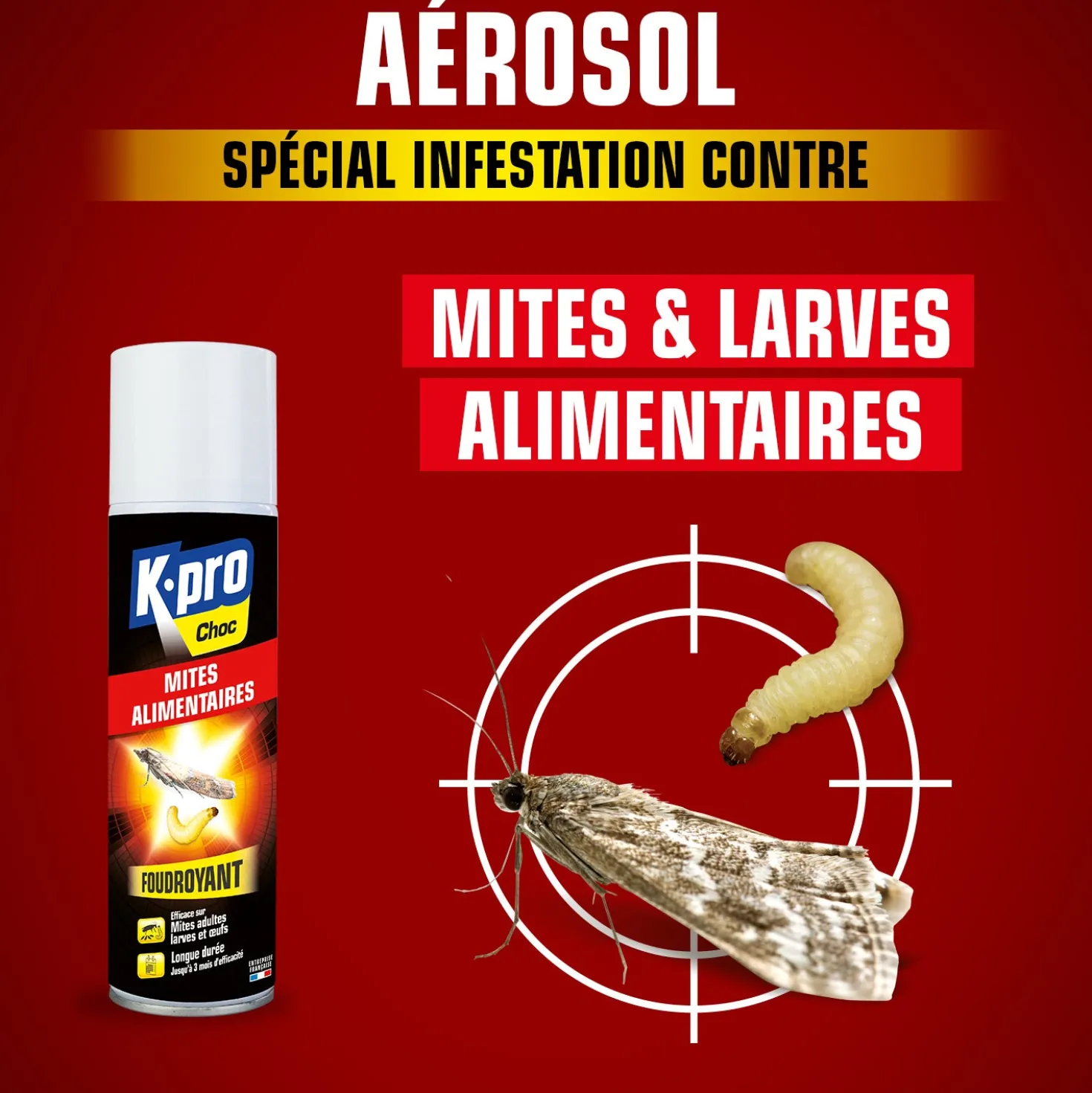Aérosol foudroyant mites alimentaires