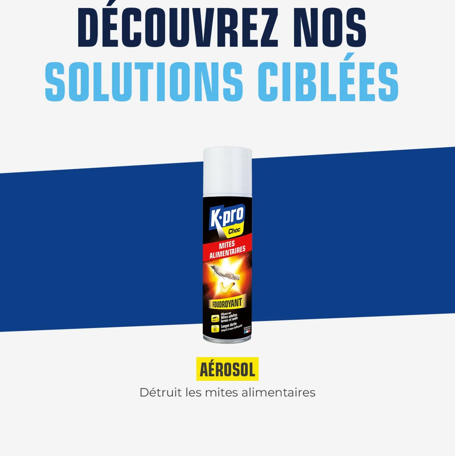 Aérosol foudroyant mites alimentaires