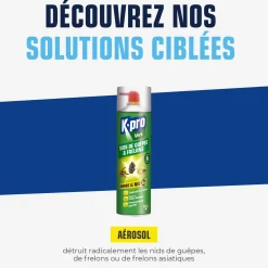 Aérosol foudroyant nids de guêpes et frelons