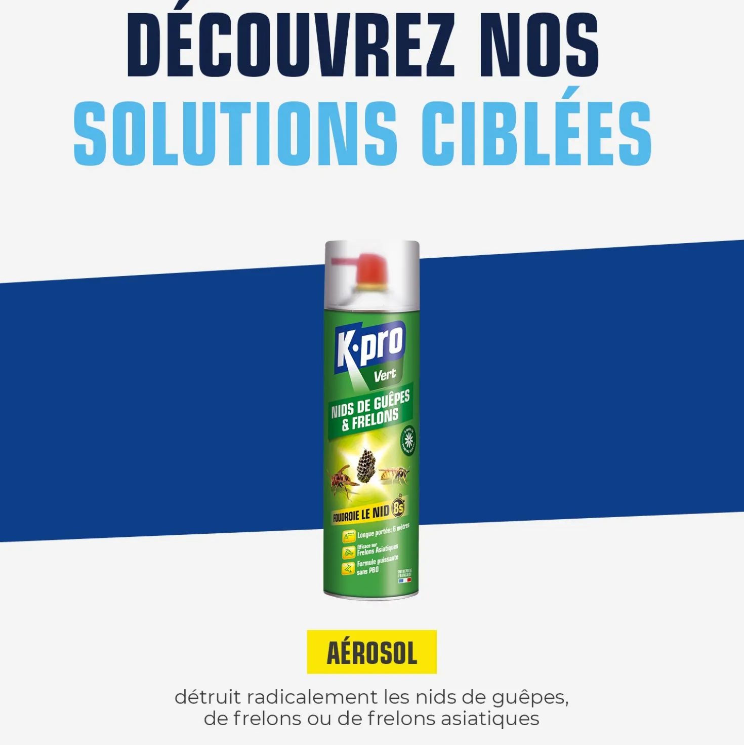 Aérosol foudroyant nids de guêpes et frelons