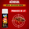Aérosol foudroyant punaises de lit