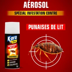Aérosol foudroyant punaises de lit