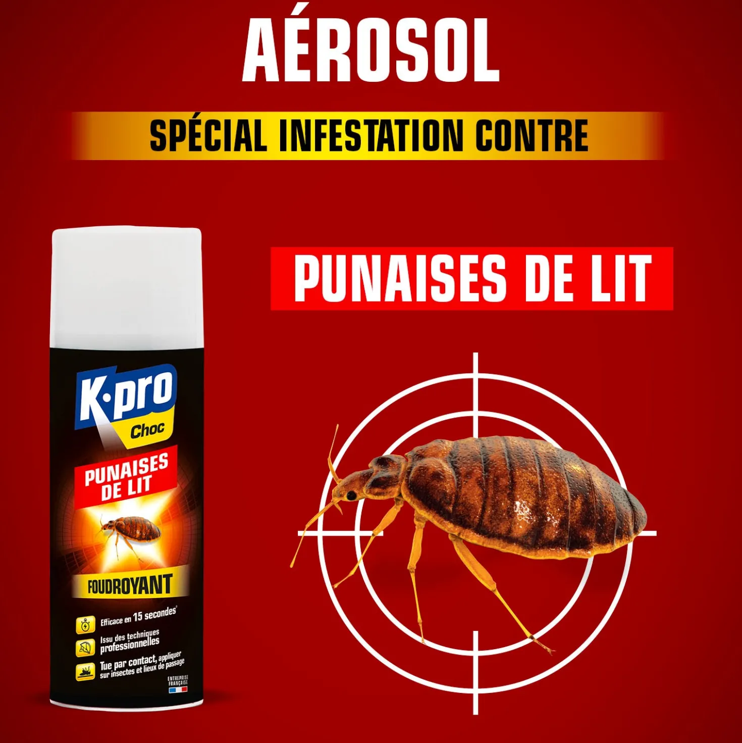 Aérosol foudroyant punaises de lit