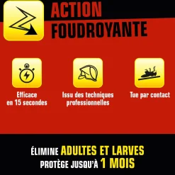 Aérosol foudroyant punaises de lit
