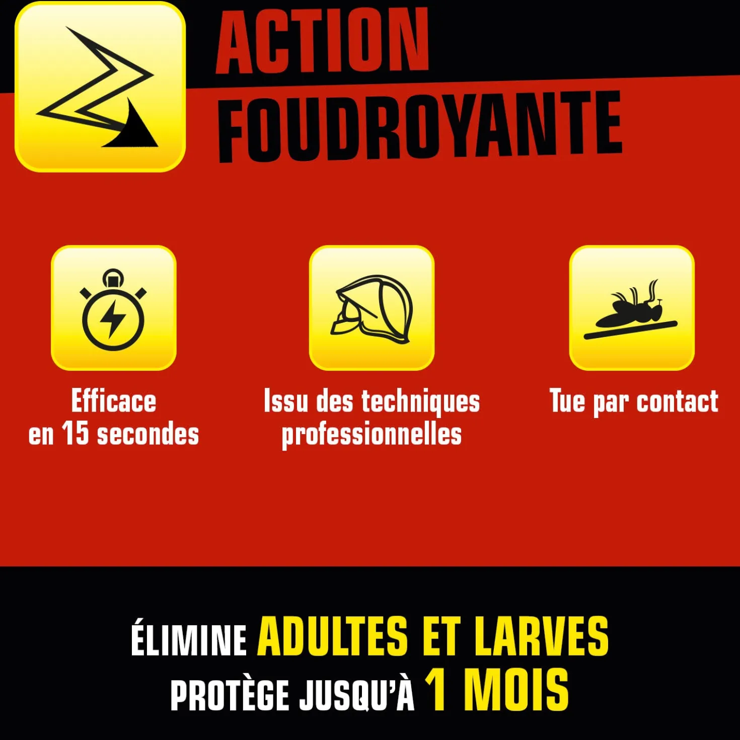 Aérosol foudroyant punaises de lit