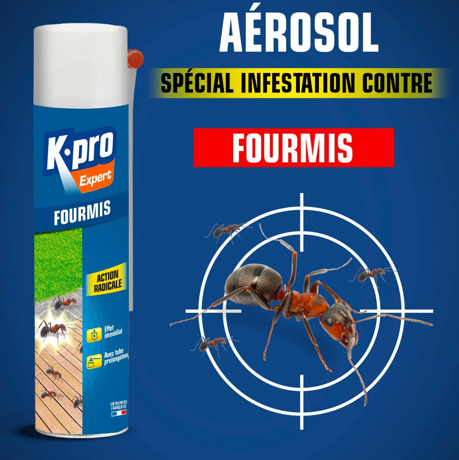 Aérosol fourmis