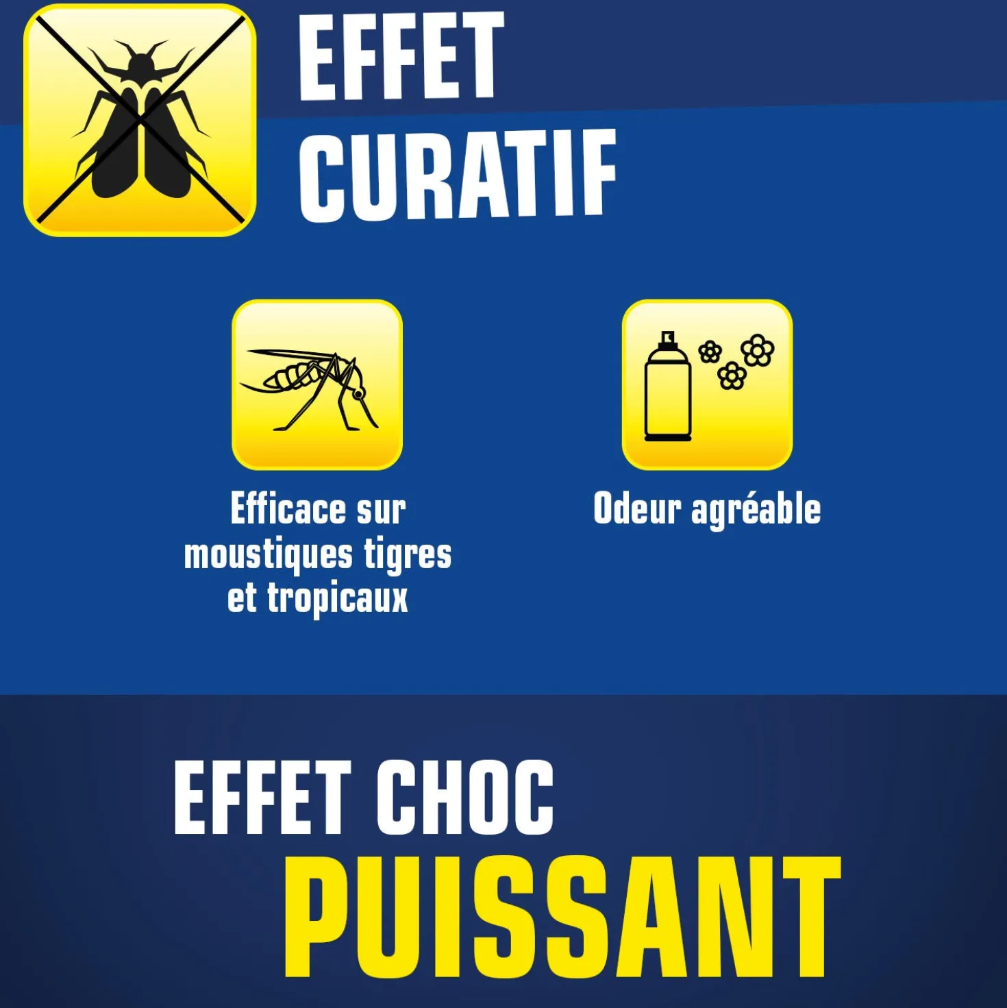 Aérosol insectes volants