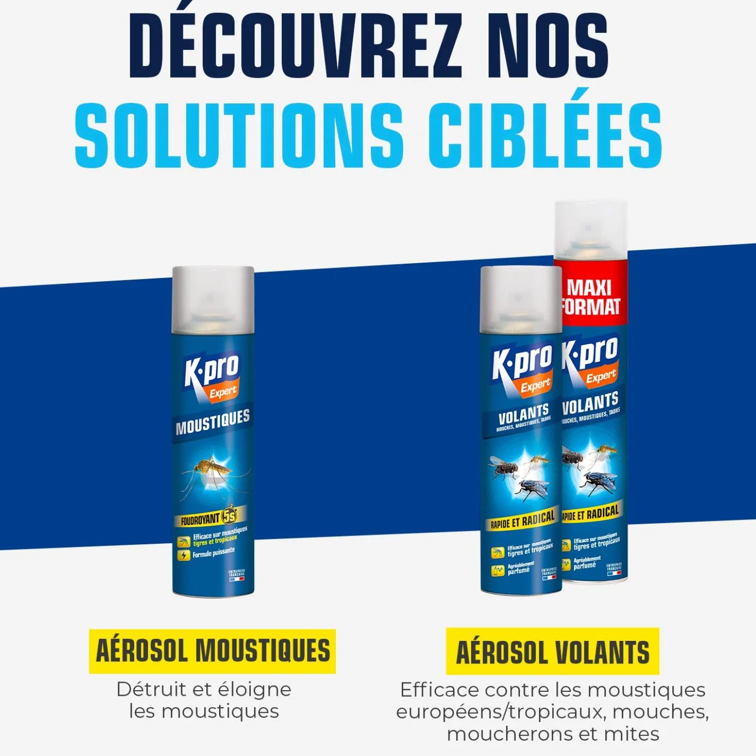 Aérosol insectes volants