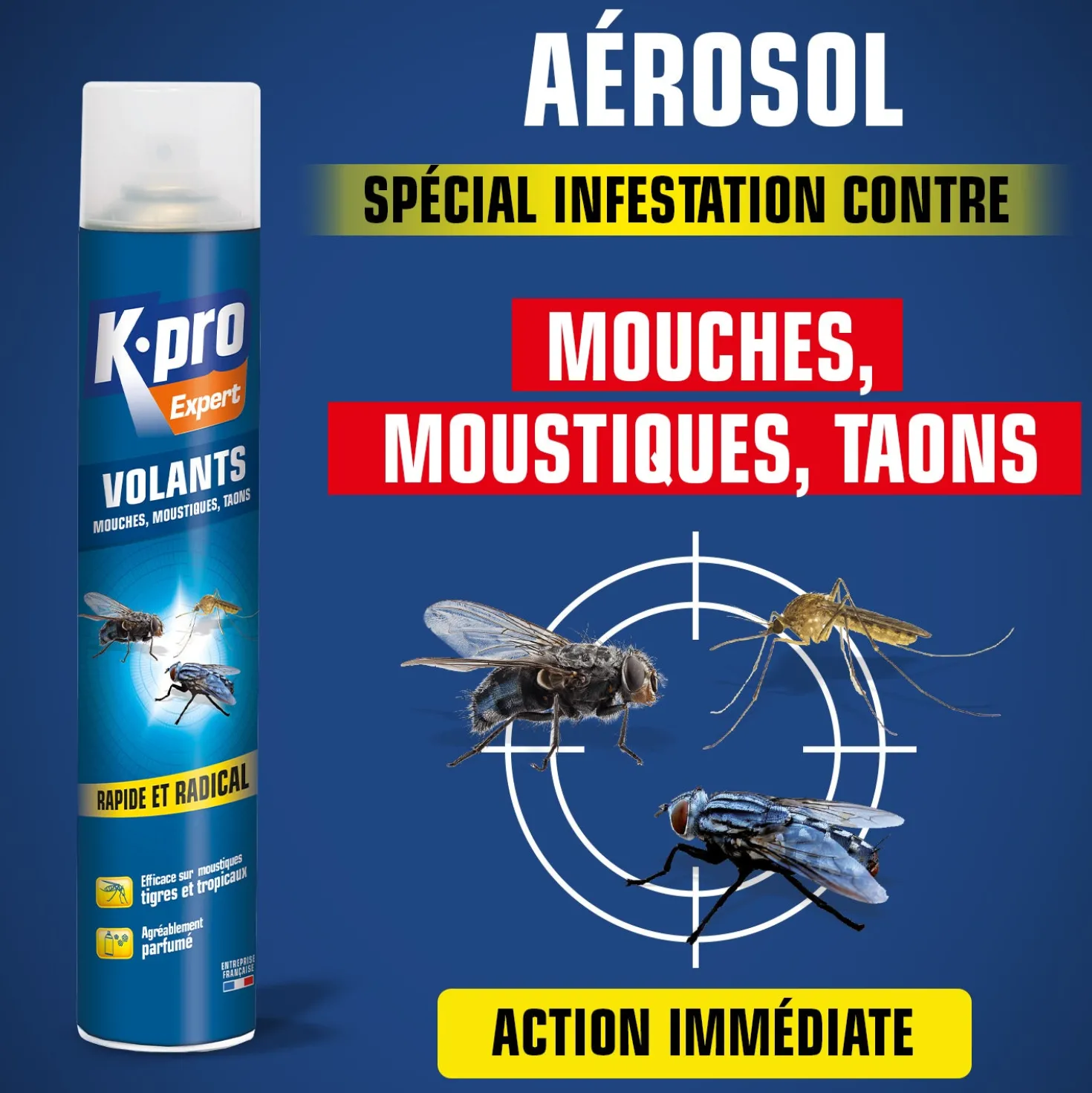 Aérosol insectes volants