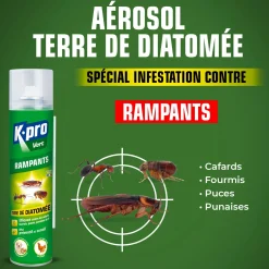 Aérosol Terre de diatomée