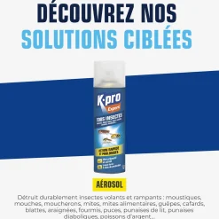 Aérosol tous insectes