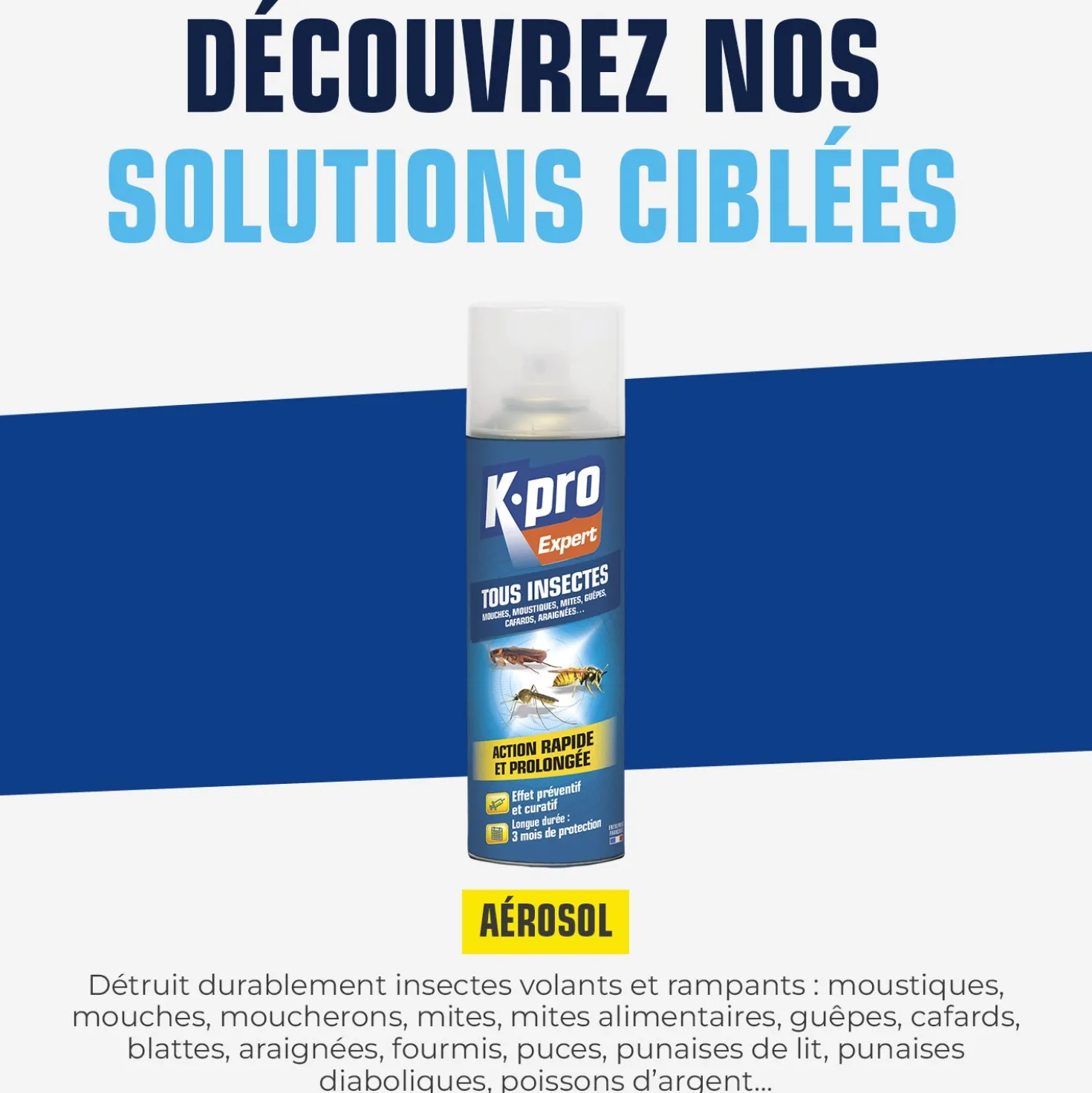 Aérosol tous insectes