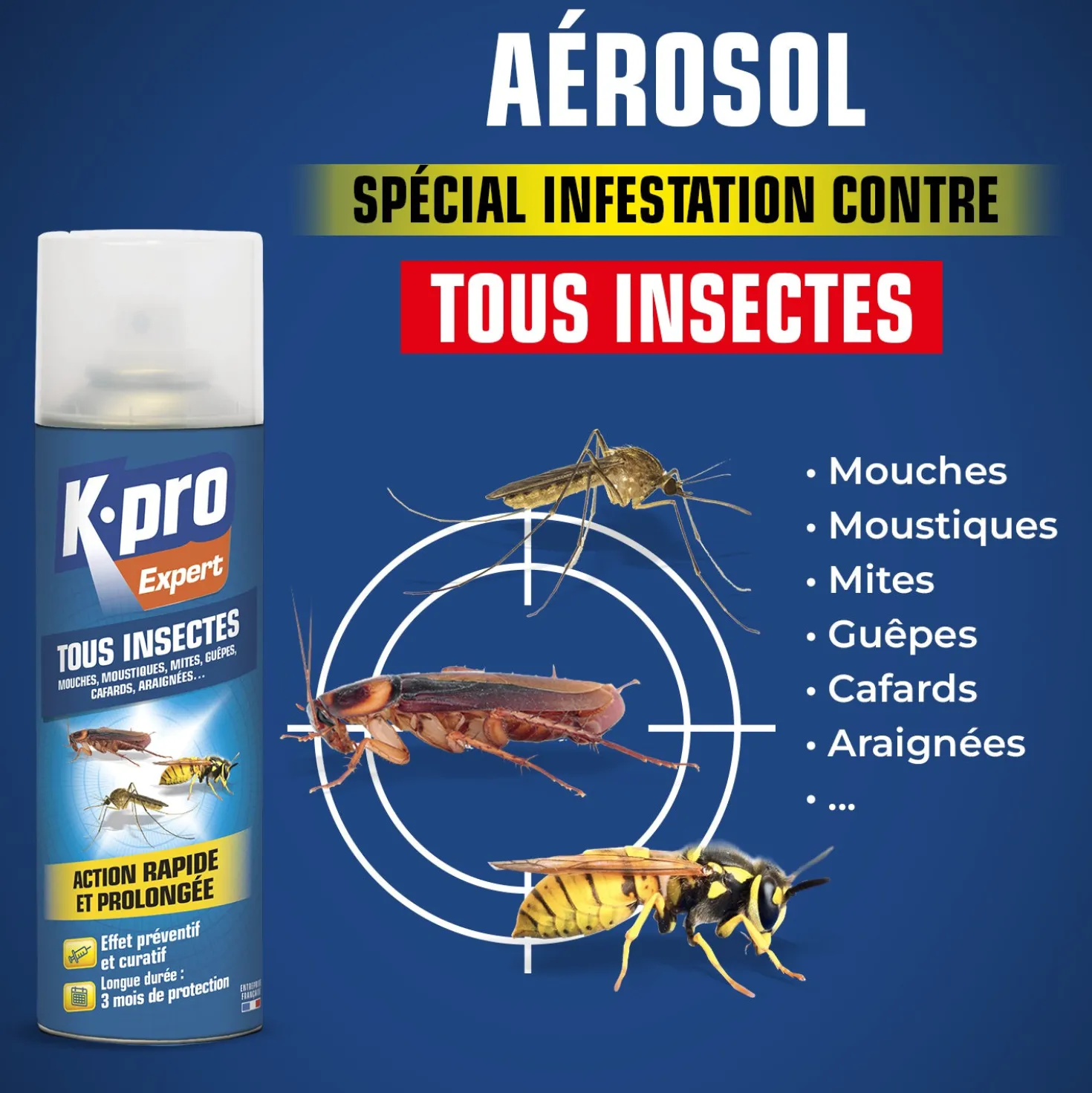 Aérosol tous insectes
