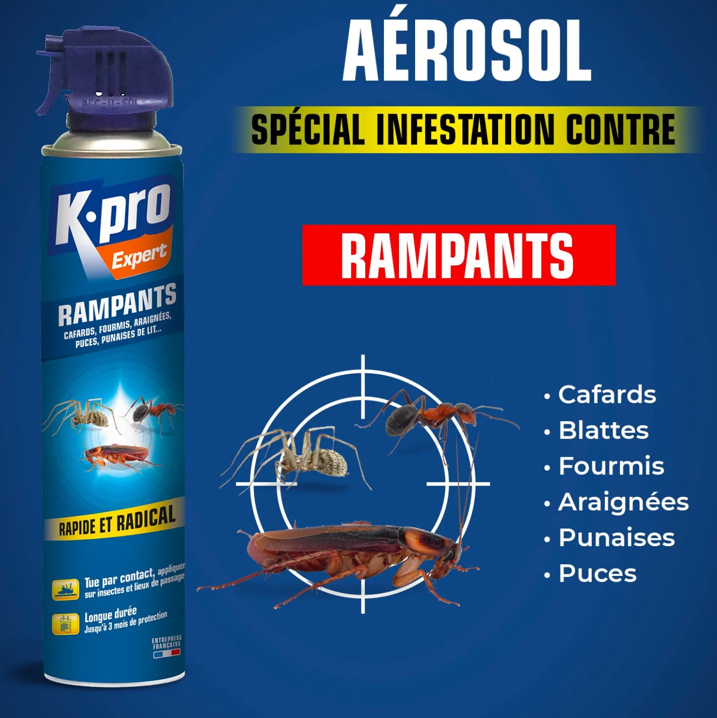Aérosol tous insectes RAMPANTS