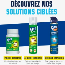 Aérosol tous insectes RAMPANTS