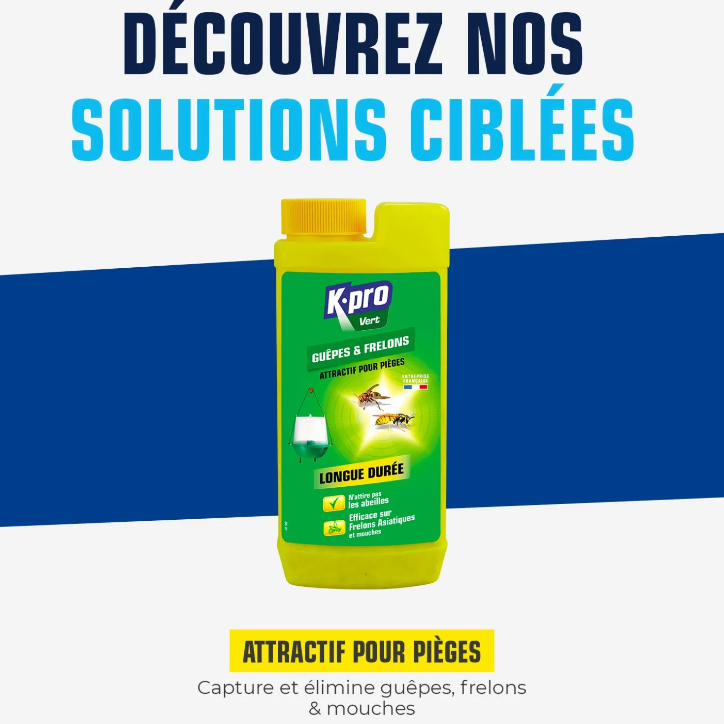 Attractif piège à guêpes et frelons