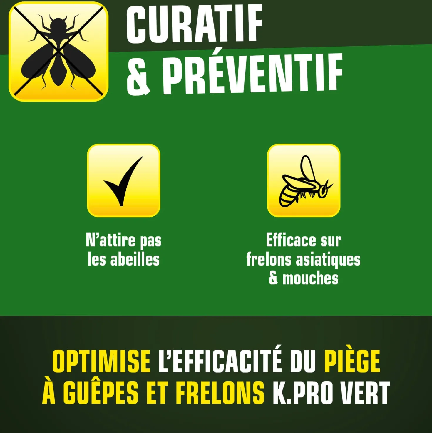 Attractif piège à guêpes et frelons