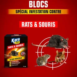 Blocs rats et souris