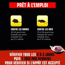 Blocs rats et souris