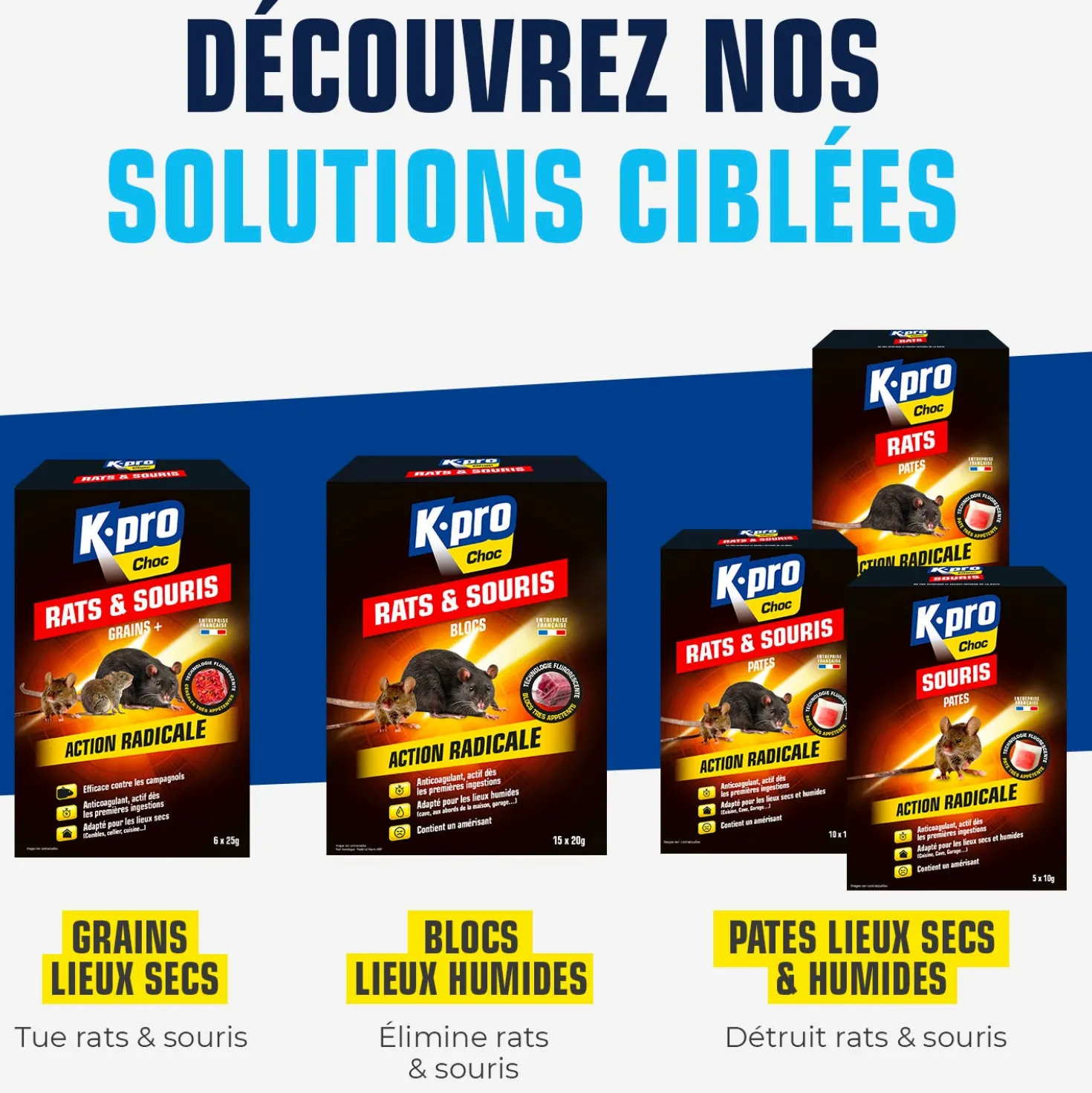 Blocs rats et souris