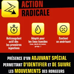 Blocs rats et souris