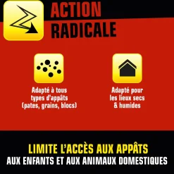 Boite appât sécurisée vide contre rats et souris