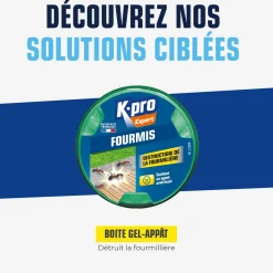 Boite fourmis