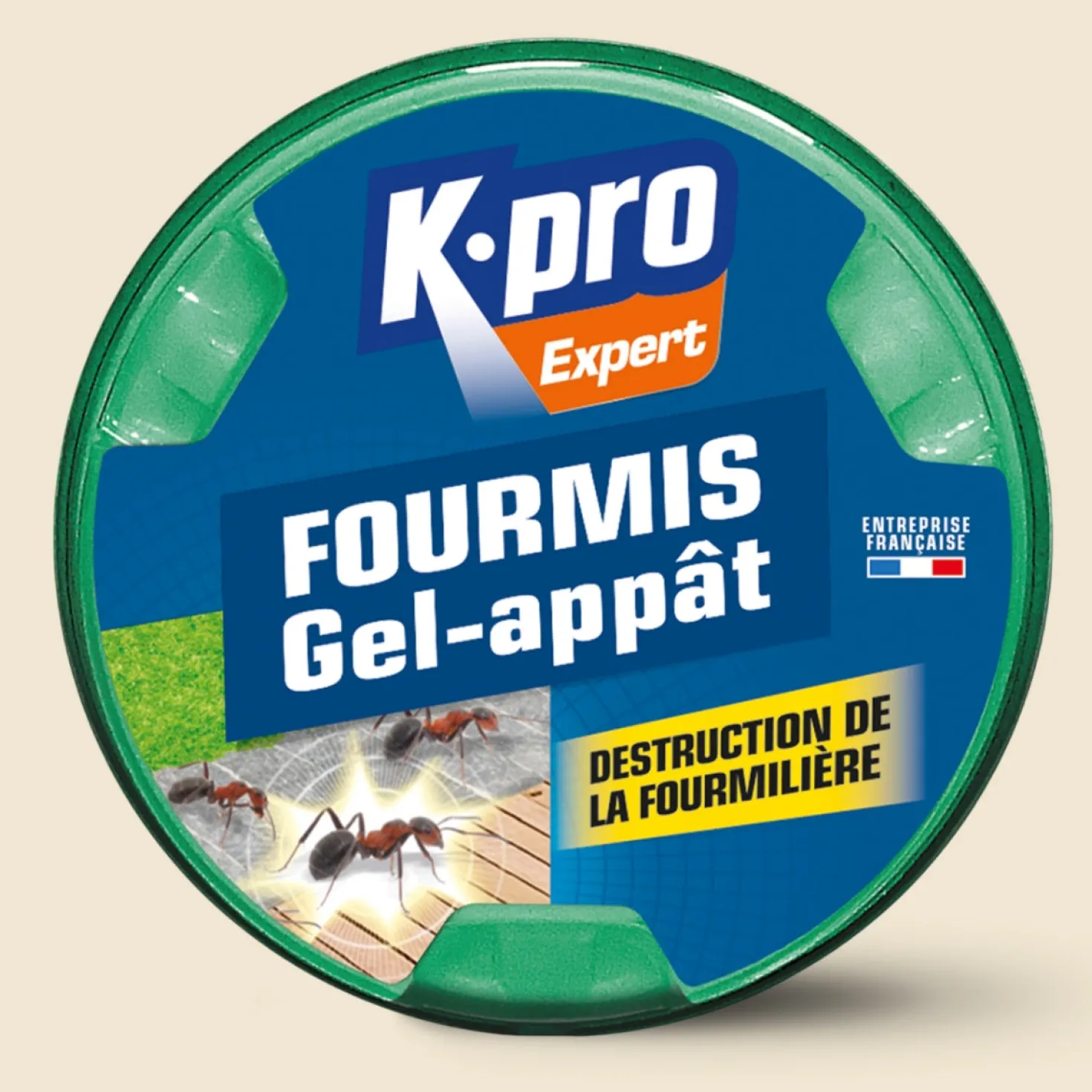 Boite fourmis