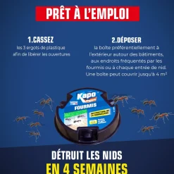 Boite fourmis