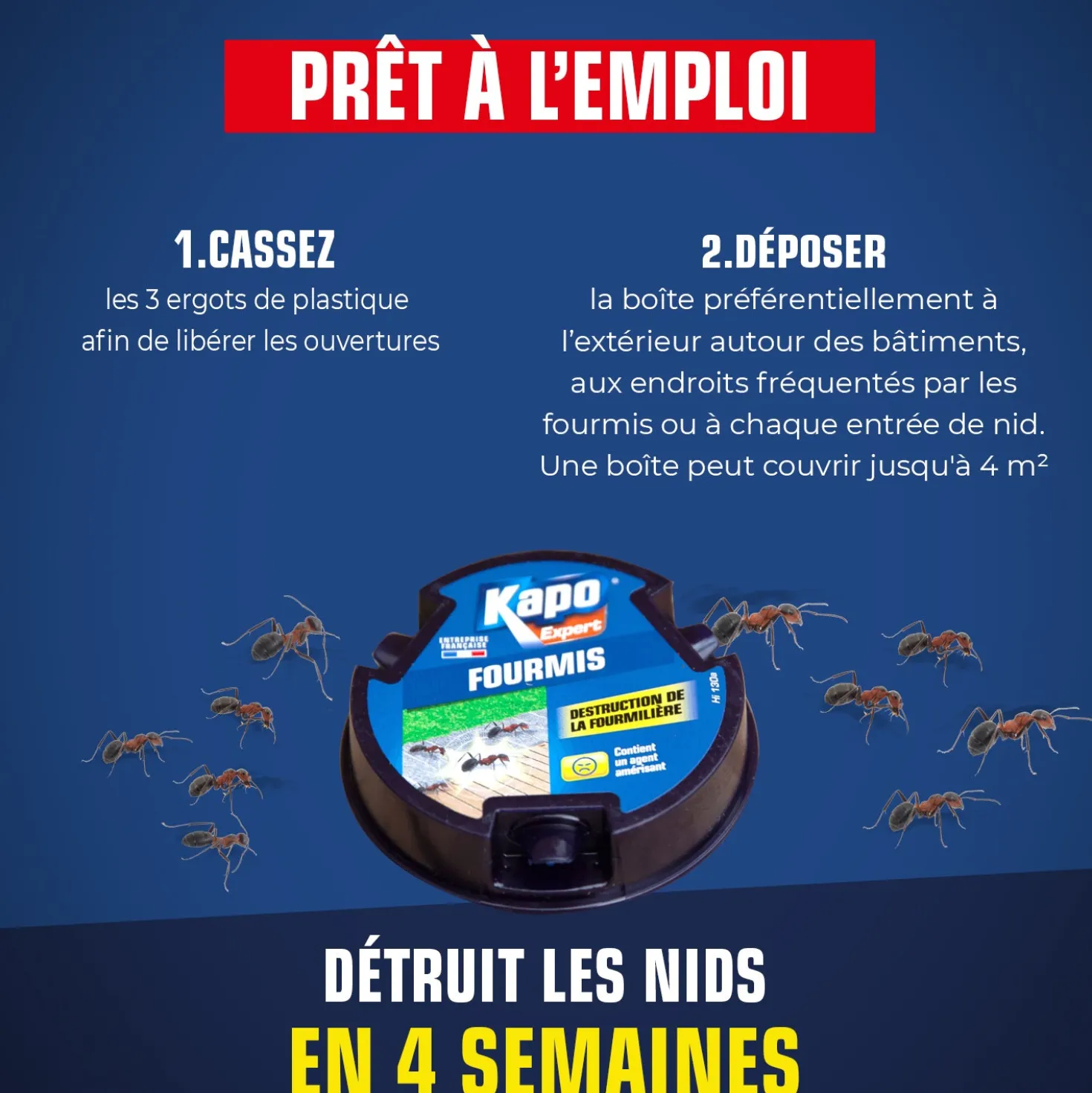 Boite fourmis