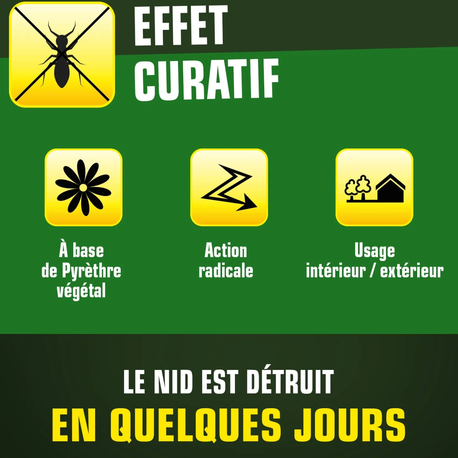 Boîte fourmis K.pro