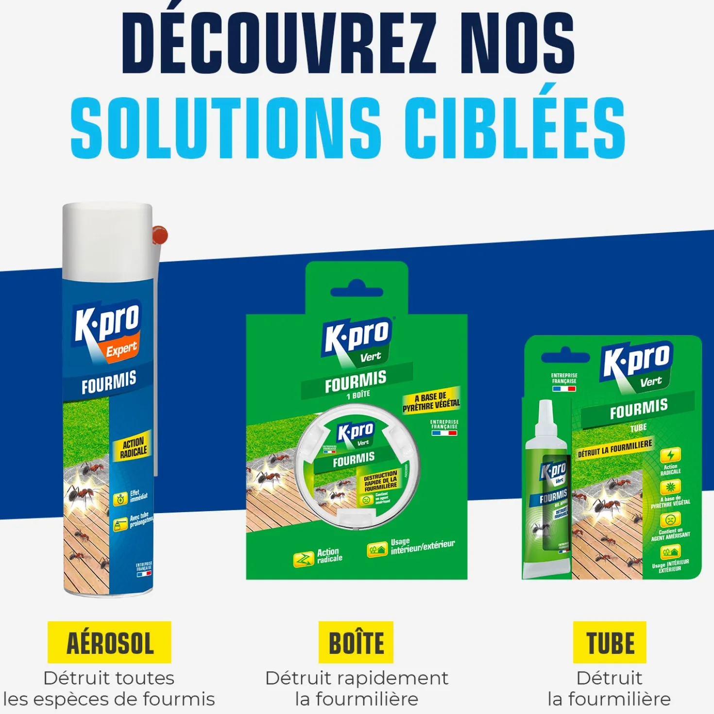 Boîte fourmis K.pro