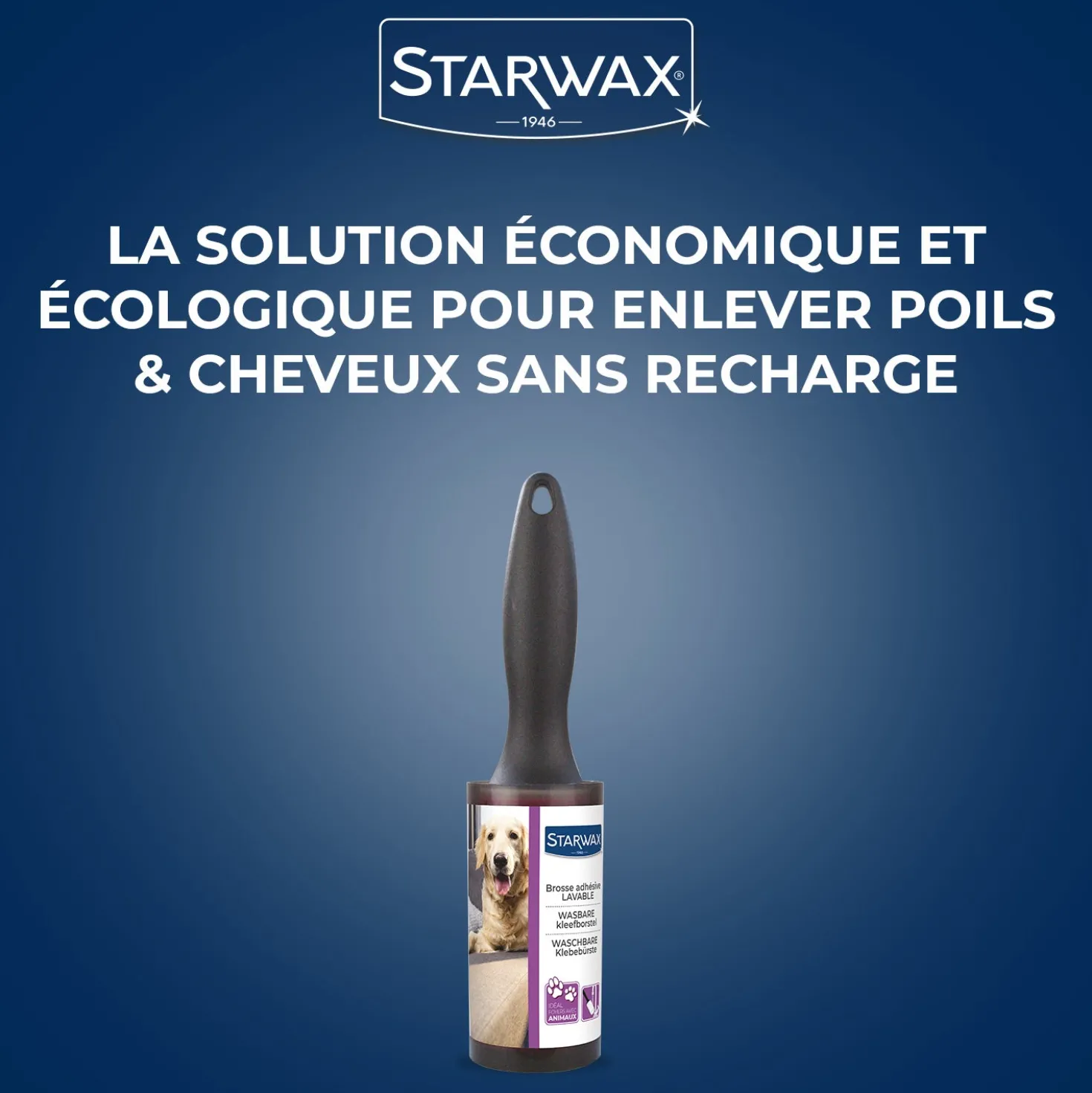 Brosse adhésive lavable