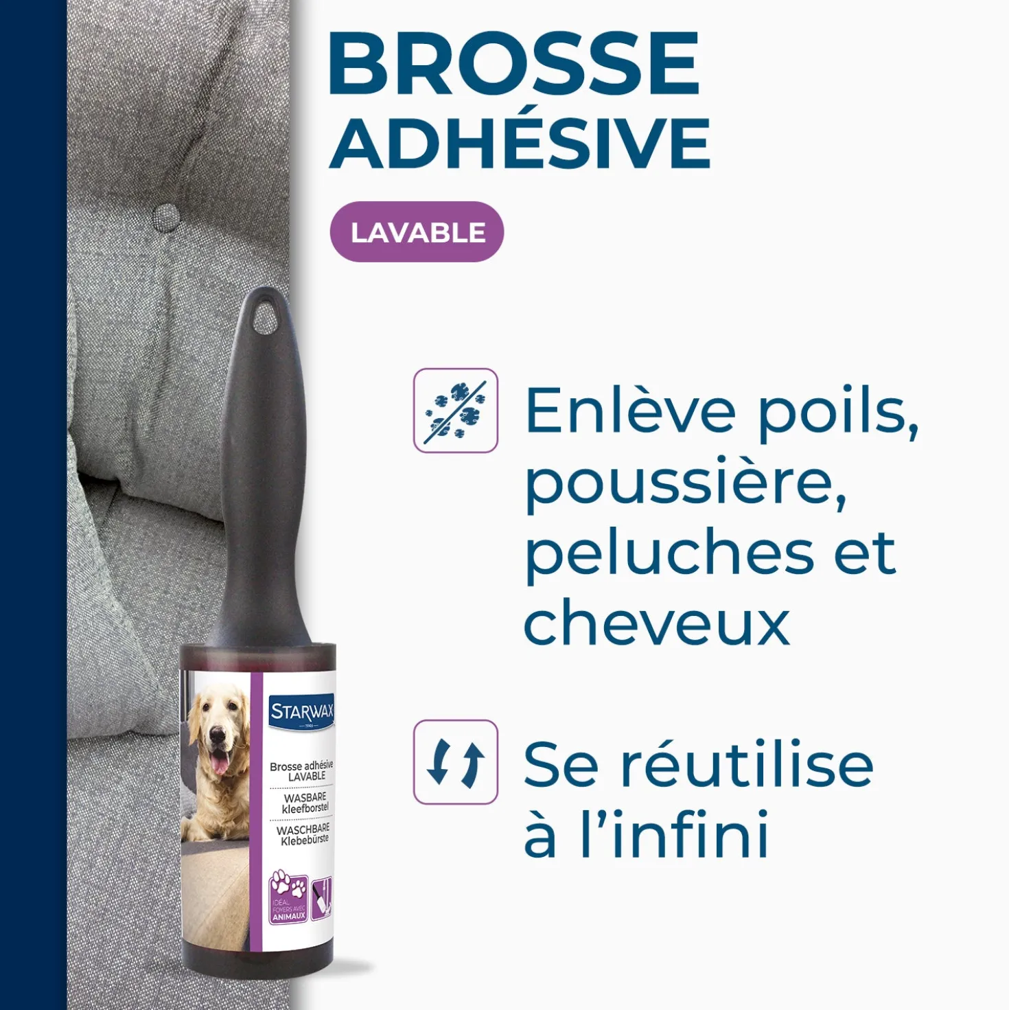 Brosse adhésive lavable
