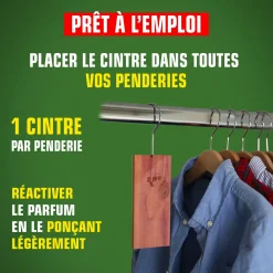 Cintres au bois de cèdre