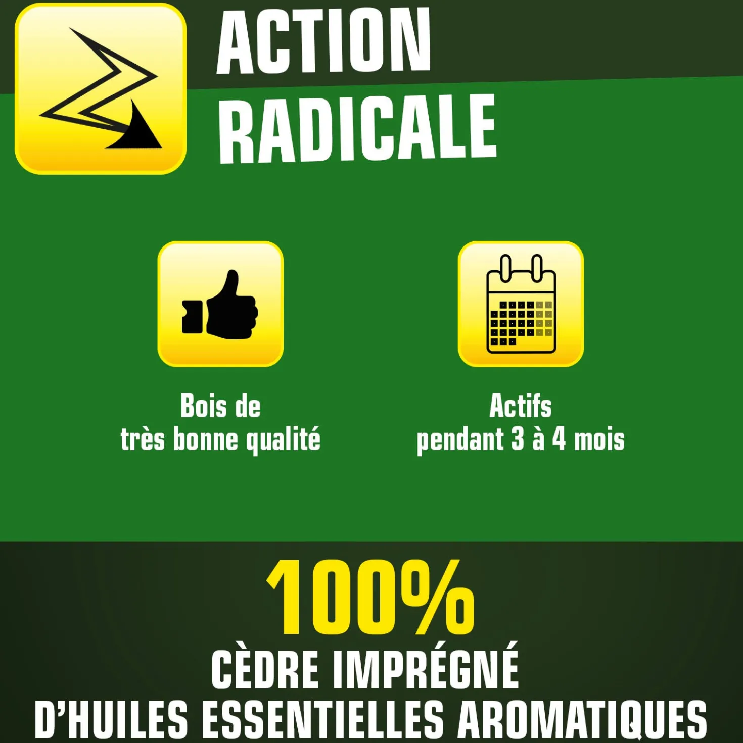 Cintres au bois de cèdre