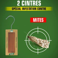 Cintres au bois de cèdre